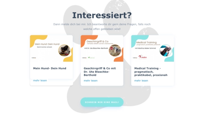Designsystem und Angebotsbereiche von Labcols inside